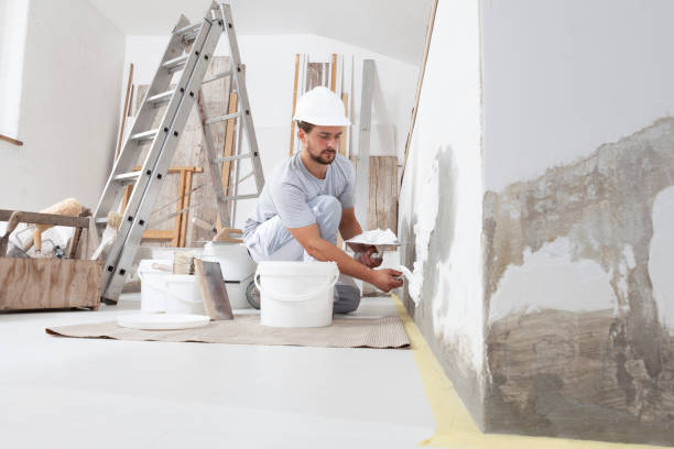 Best Wall Texturing and Painting  in Northwest Harwinton, CT