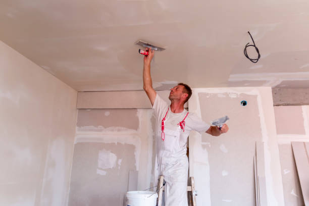 Best Drywall Removal and Disposal  in Northwest Harwinton, CT